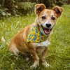 Premium Dog Bandana Ducky Duck handkerchief style to tie around your pet’s neck