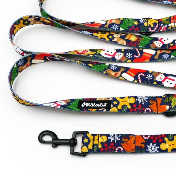 Hundeleine Winter is Coming Psiakrew, Breite 2,5 cm, Karabiner 6 cm schwarz