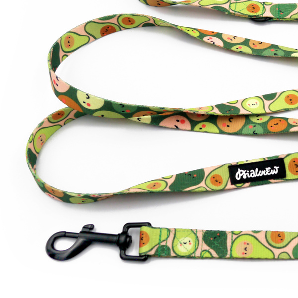 Hundeleine, lang, abnehmbar, verstellbar Guacamole Time Psiakrew, Breite 2 cm, Karabiner schwarz 7 cm