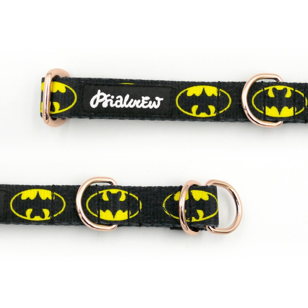 Half-Choke-Halsband BatDog, 2 cm breit, für kleine Hunde, goldene Accessoires