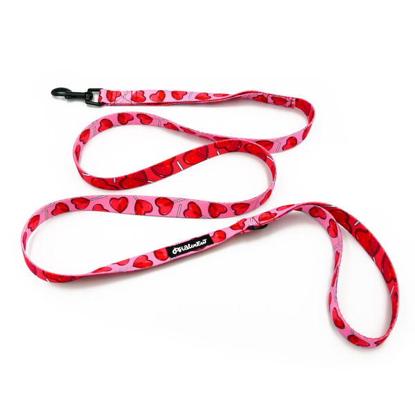 Walking leash for Dog Lollipops Psiakrew, width 2 cm, black snap hook 6 cm