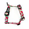 Małe Szelki dla Psa Typu Guard w arbuzy Watermelon, taśma 2 cm, okucia czarne