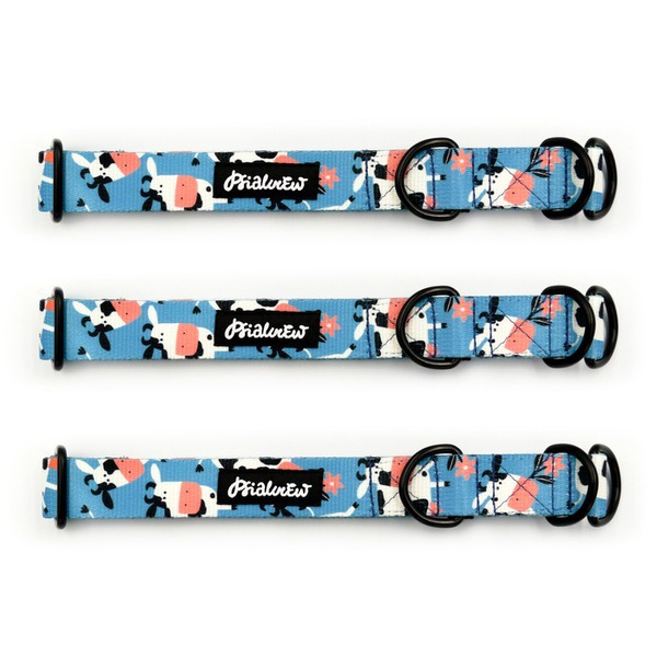 Halb-Klemmhalsband- Spotted Cow, 2,5 cm breit, für mittelgroße und größere Hunde, Schwarz-Beschläge, Psiakrew