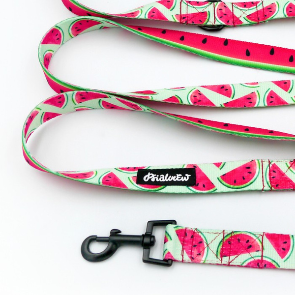 Hundeleine Watermelon Psiakrew, Breite 2,5 cm, Karabiner 6 cm schwarz
