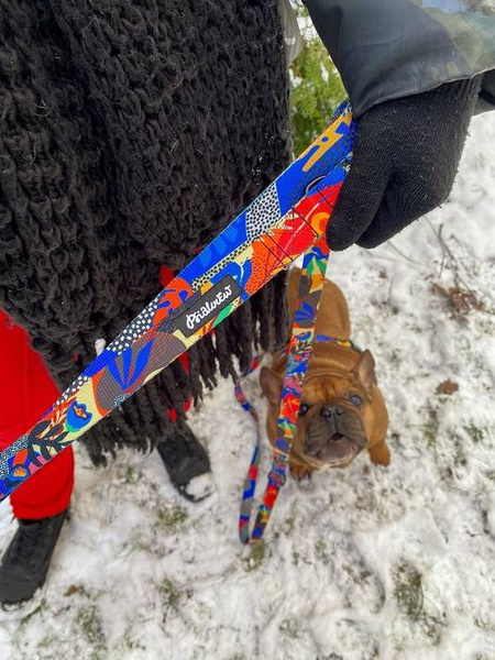 Dog Leash Colorful Thicket snap hook black 8cm