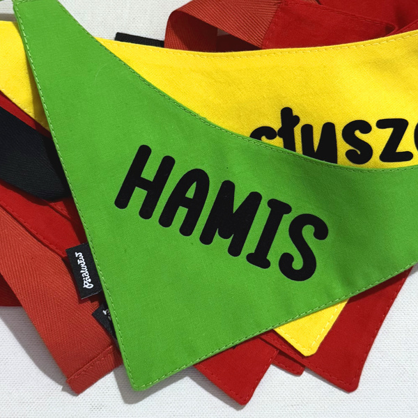 Green Personalized Dog Bandana, Your Logo Graphic, Tied Handkerchief, Scarf Psiakrew