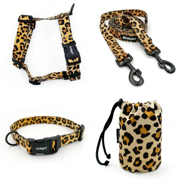 ACCESSORY KIT. Big dog. Tarzan Psiakrew Series; Collar, Harness, Leash, Sachet for dog treats