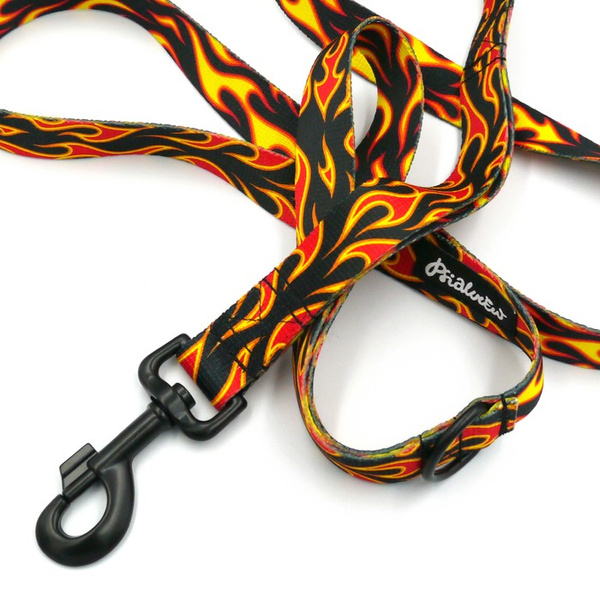 Hundeleine Dog On Fire Breite 2,5 cm, 1" breit, kräftiger schwarzer Karabiner 8cm