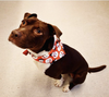 Premium Dog Bandana Snowman handkerchief style to tie around your pet’s neck