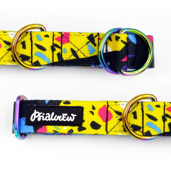 Half-choke collar Terrazzo, 2.5 cm wide, medium and big dogs, HOLO extras