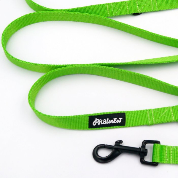 Long Lime Dog Leash width 2 cm (0.78") wide; black snap hook 7 cm