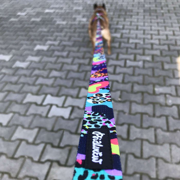 Dog Leash Crazy Leopard width 2.5 cm, 1" wide, snap hook black 8cm