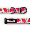 Half-choke collar Watermelon, 2 cm wide, for small dogs, black extras