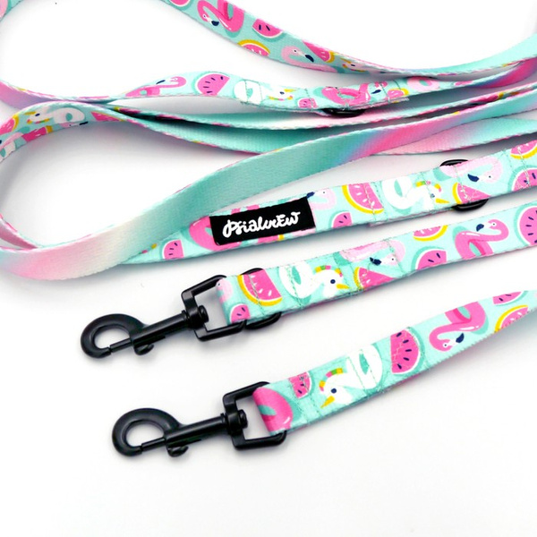 Long Dog Leash Azure Pool Psiakrew width 2 cm (0.78"), black snap hook 6 cm