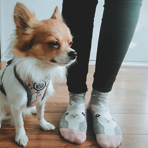 Dog Harness, Always Feeling Cool, Super Soft Psiakrew Lama