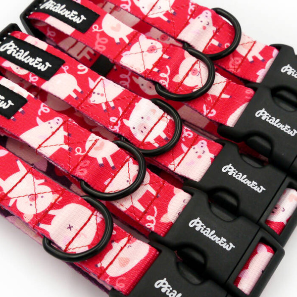 Dog Collar Piggy in Love Psiakrew 2.5 cm 1" wide, black fittings
