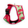 Dog Harness, Always Feeling Cool, Super Soft Psiakrew Watermelon