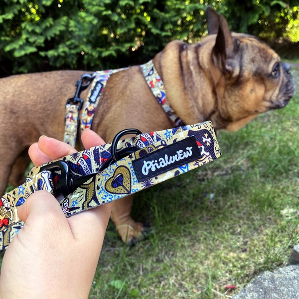 Hundeleine Dog Tattoo Flash Breite 2,5 cm, 1" breit, schwarzer Karabinerhaken 6 cm