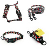 ACCESSORY KIT. Small dog. Pirates Psiakrew Series; Collar, Harness, Leash, Pouch