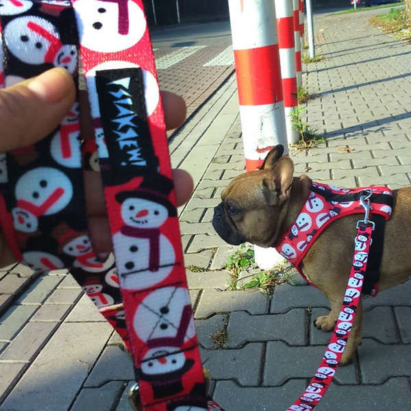 Christmas Gift for Dog, Harness, Always Feeling Cool, Super Soft Psiakrew Snowman