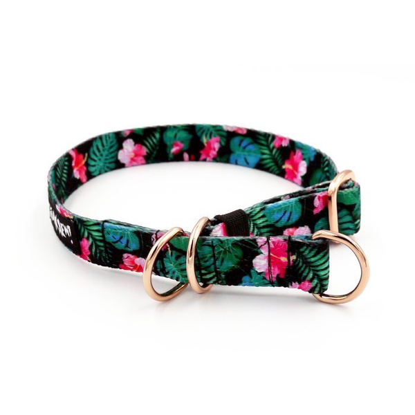 Half-choke collar Tropical Monstera, 2 cm wide, for small dogs, golden extras