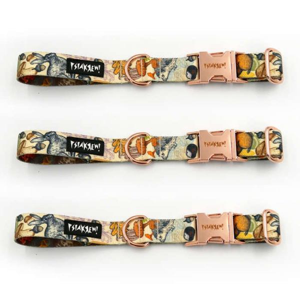 Dog Collar Psiakrew Forest Treasures 2.5 cm, 1" wide, pink gold clip