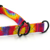 Halb-Klemmhalsband Tie Dye Psiakrew, 2,5 cm breit, für mittelgroße und größere Hunde, Schwarz-Beschläge, Psiakrew