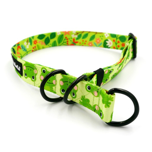 Halb-Klemmhalsband- Green Frogs, 2,5 cm, für mittelgroße und größere Hunde, Schwarz-Beschläge, Psiakrew