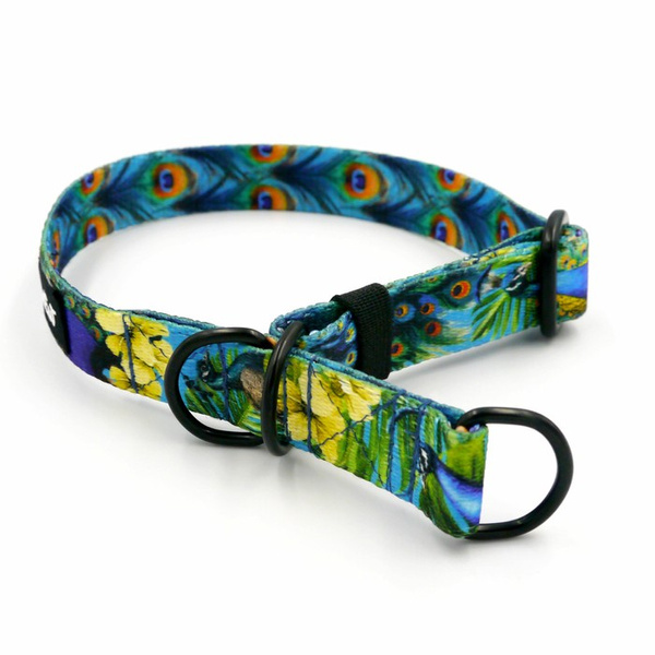 Obroża półzaciskowa Pawie Oczko szeroka na 2 cm, dla małych psów, czarne dodatki