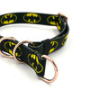 Half-choke collar BatDog, 2 cm wide, for small dogs, golden extras