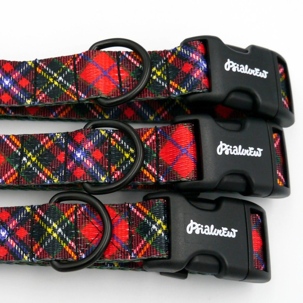 Dog Collar Tartan Psiakrew 2.5 cm wide, black extras