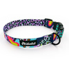Dog Collar Psiakrew Crazy Leopard 2.5 cm wide, black extras