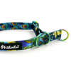 Half-choke collar Peacock's Eye Psiakrew, 2 cm wide, for small dogs, Holo extras