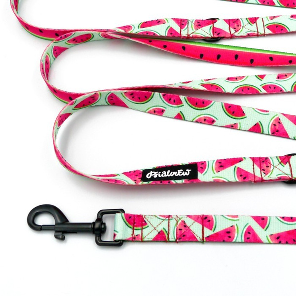 Dog Leash Watermelon width 2 cm wide, black snap hook 7 cm