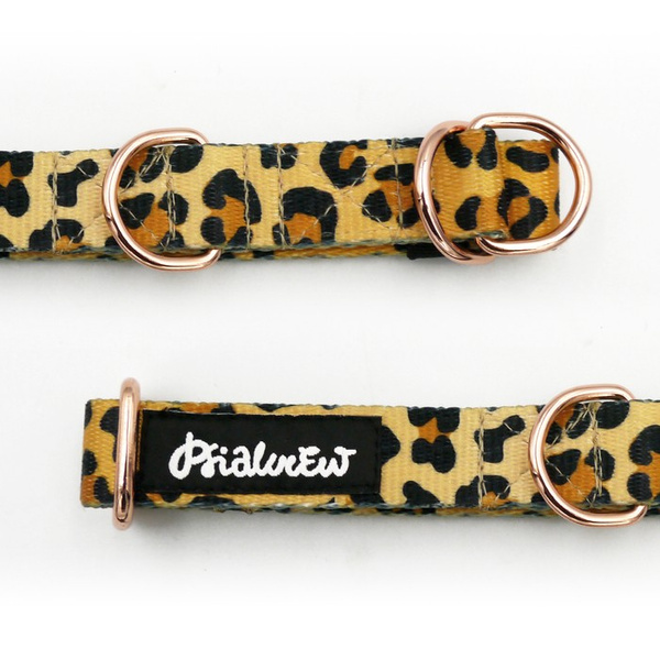 Half-Choke-Halsband Tarzan, 2 cm breit, für kleine Hunde, goldene Accessoires