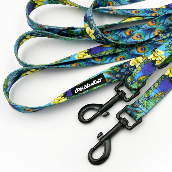 Long Dog Leash Peacock's Eye Psiakrew width 2 cm (0.78"), black snap hook 7 cm (3,15")