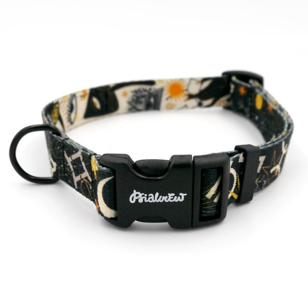 Dog Collar Psiakrew Zodiak, 2 cm 0.78"  wide, for smaller dogs black extras