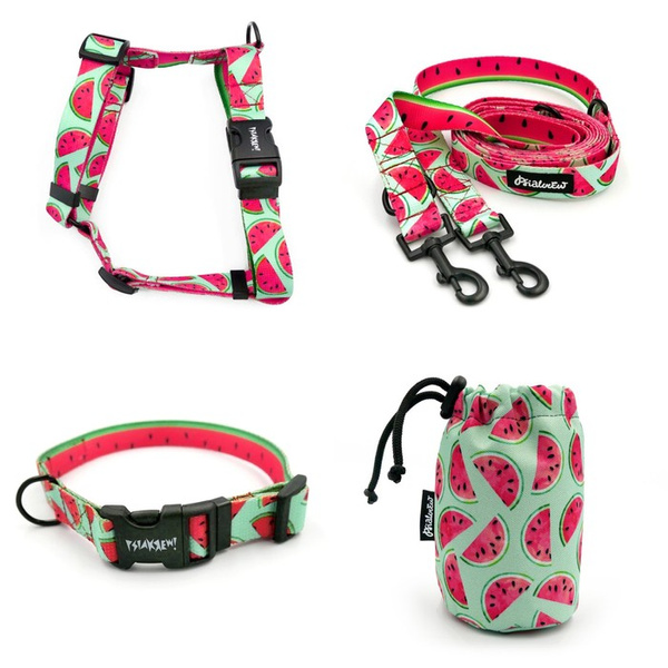 ACCESSORY KIT. Medium dog. Watermelon Psiakrew Series; Collar, Harness, Leash, Sachet for dog treats