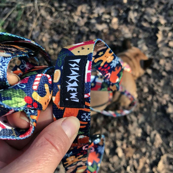 Dog Leash Winter is coming width 2.5 cm, 1"  wide, big black snap hook 8 cm