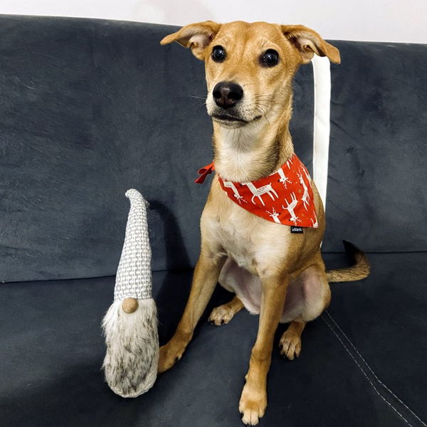 Premium Dog Bandana Rudolphs handkerchief style to tie around your pet’s neck