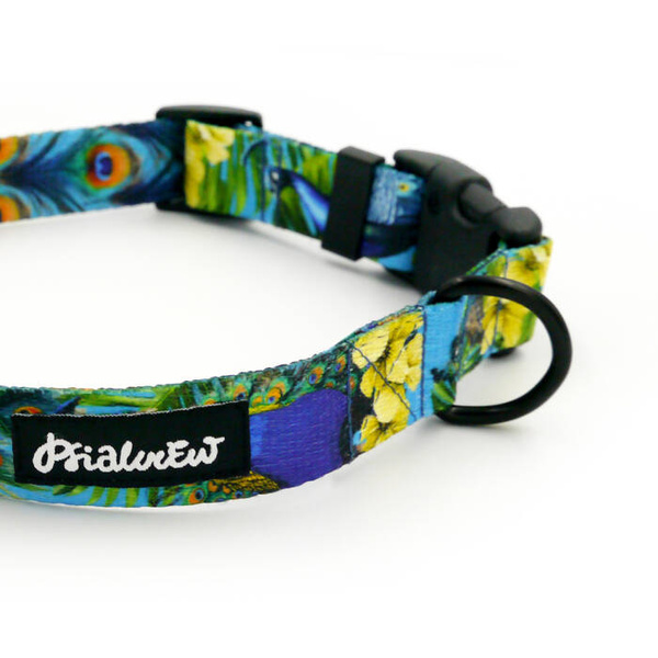 Dog Collar Peacock's Eye Psiakrew 2.5 cm 1"  wide, black fittings