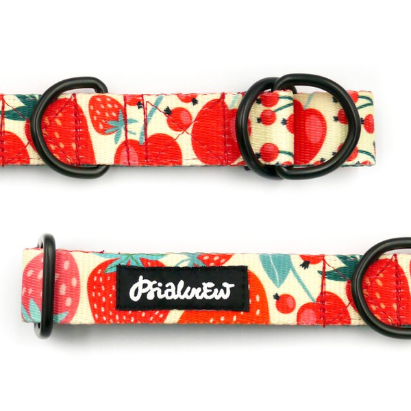 Obroża półzaciskowa Fruit Jelly Psiakrew szeroka na 2,5 cm, dla średnich i większych psów