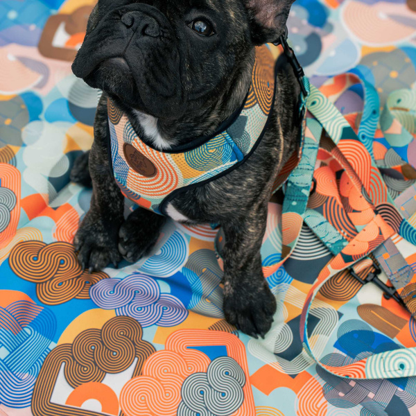 Waterproof Mat for the dog, puppy, cat, Geo Snake Psiakrew Design