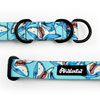 Half-choke collar Shark Psiakrew, 2.5 cm wide, medium and big dogs, black extras