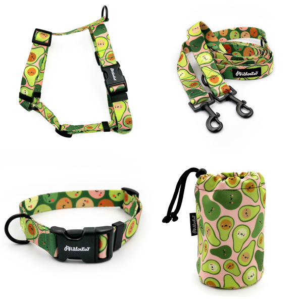 ACCESSORY KIT. Medium dog. Guacamole Time Psiakrew Series; Collar, Harness, Leash, Sachet for dog treats