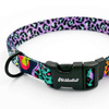 Dog Collar Psiakrew Crazy Leopard 2.5 cm wide, black extras