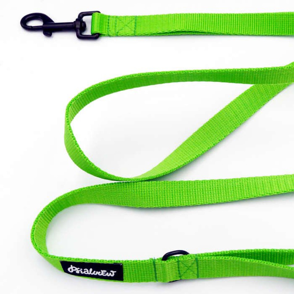 Lime Dog Leash width 2 cm 0.78 ", black extras