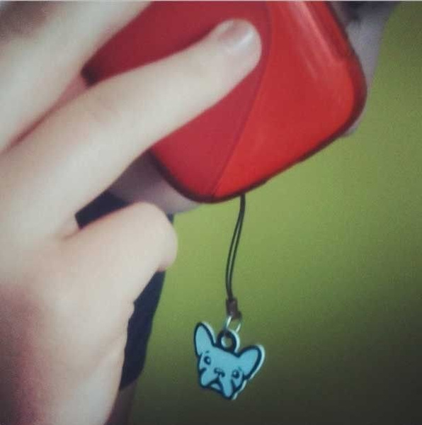 French Bulldog Hello dog pendant, tag, charms