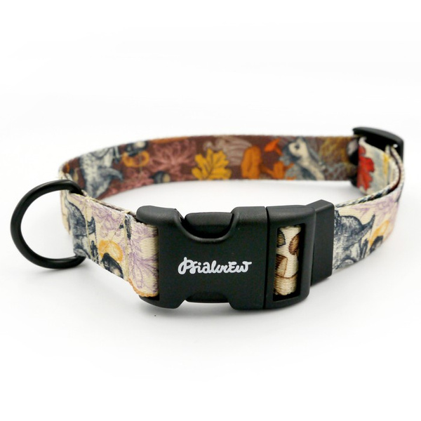 Dog Collar Forest Treasures Psiakrew 2.5 cm wide, black extras