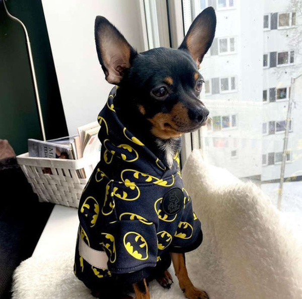 Bluza dla Psa z kapturem Batdog, odblaskowy element, super hero print